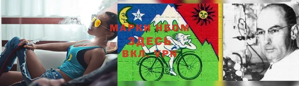 спиды Кодинск