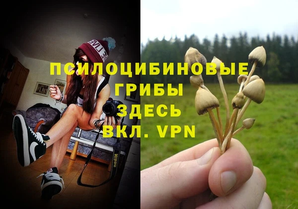 ALPHA-PVP Козловка