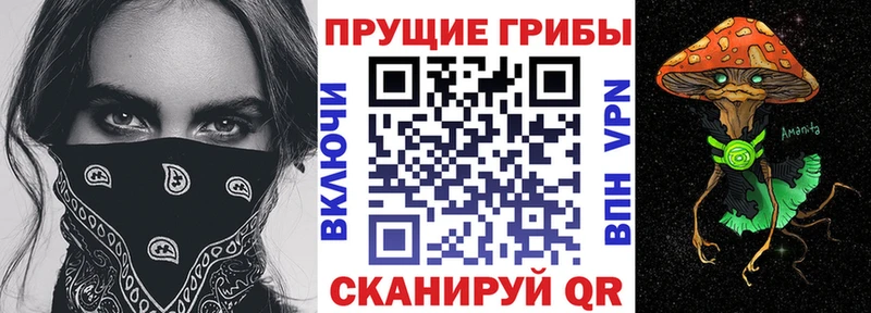 Купить закладки  Поронайск  Галлюциногенные грибы Psilocybine cubensis 
